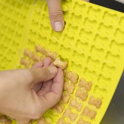 Trixie Lime Silikonform För Hemlagade Hundgodis Formade Som Köttben